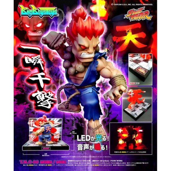 Street Fighter T.N.C. 00 Akuma